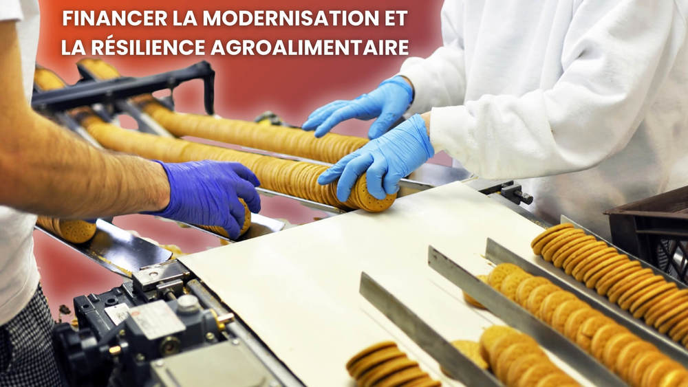 Appel à projets « Résilience et Capacités Agroalimentaires 2030 » : le guide complet pour candidater et réussir (France 2030)